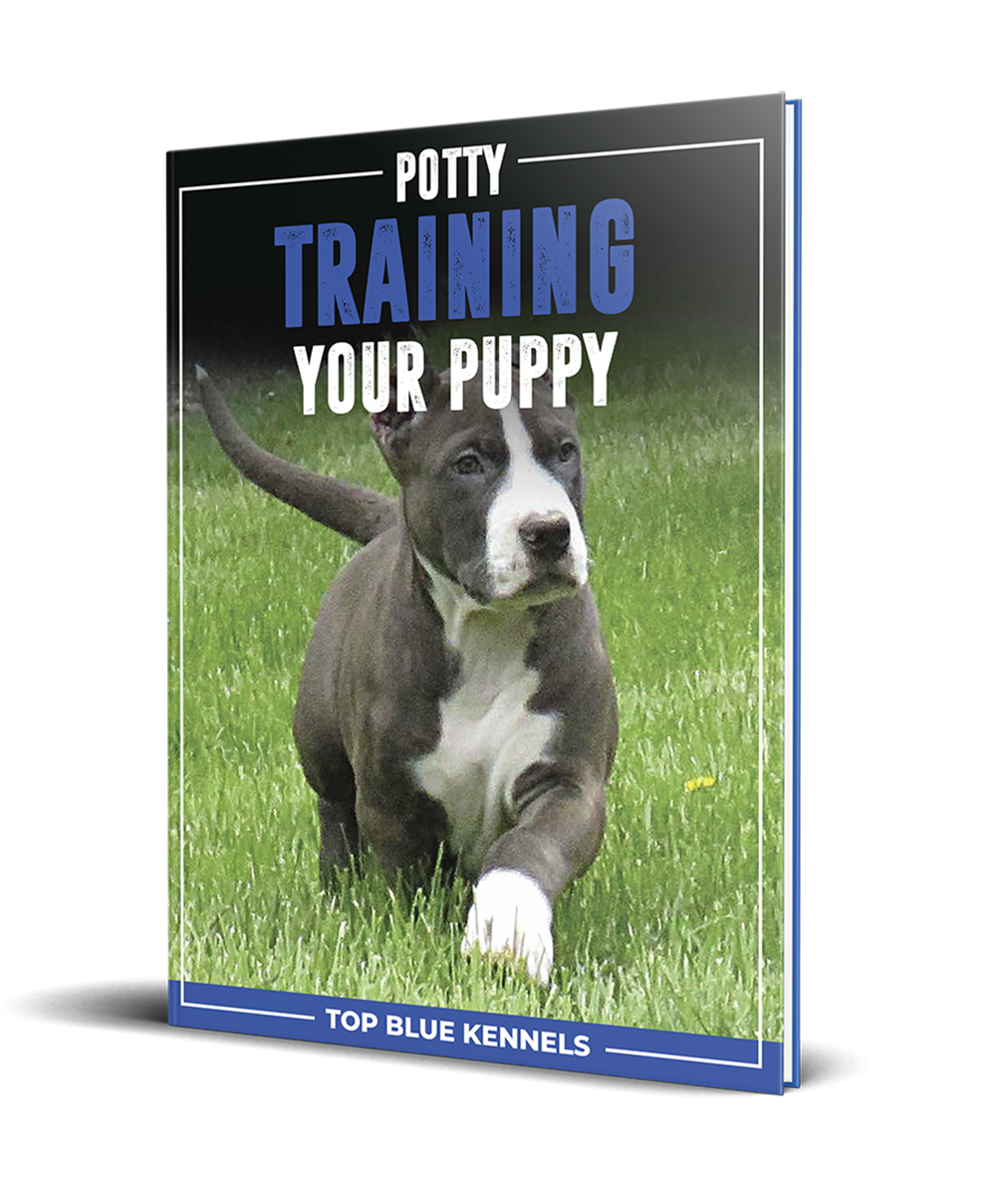 Potty Training Your Puppy