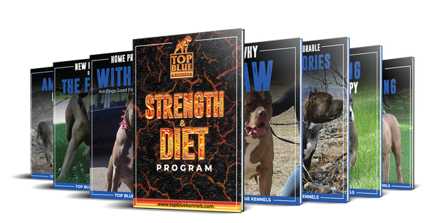 Pitbull Training Books