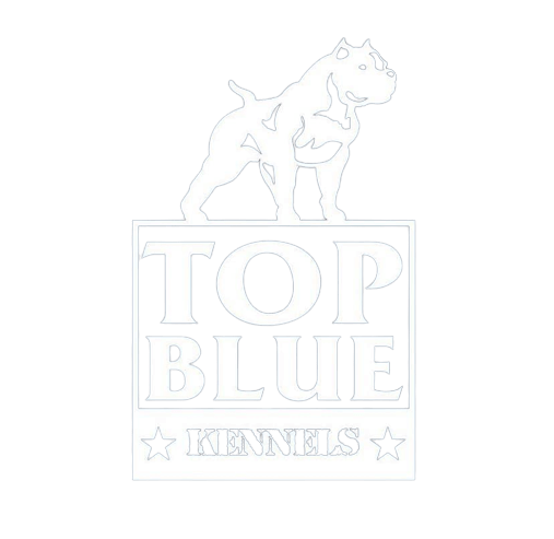 TopBlueKennels