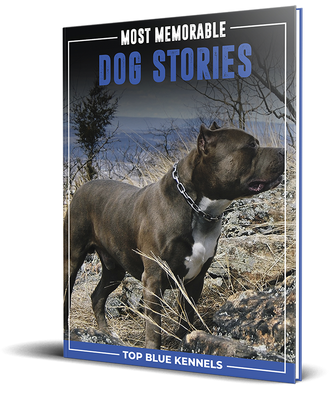 Dog Stories