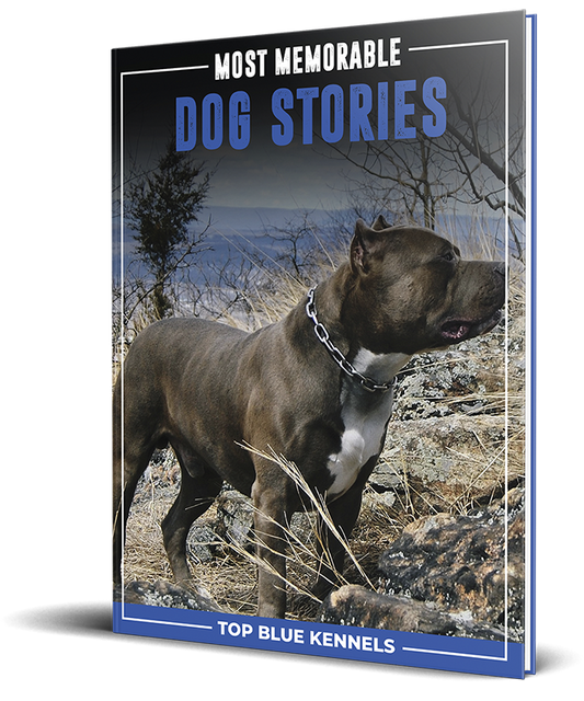Dog Stories