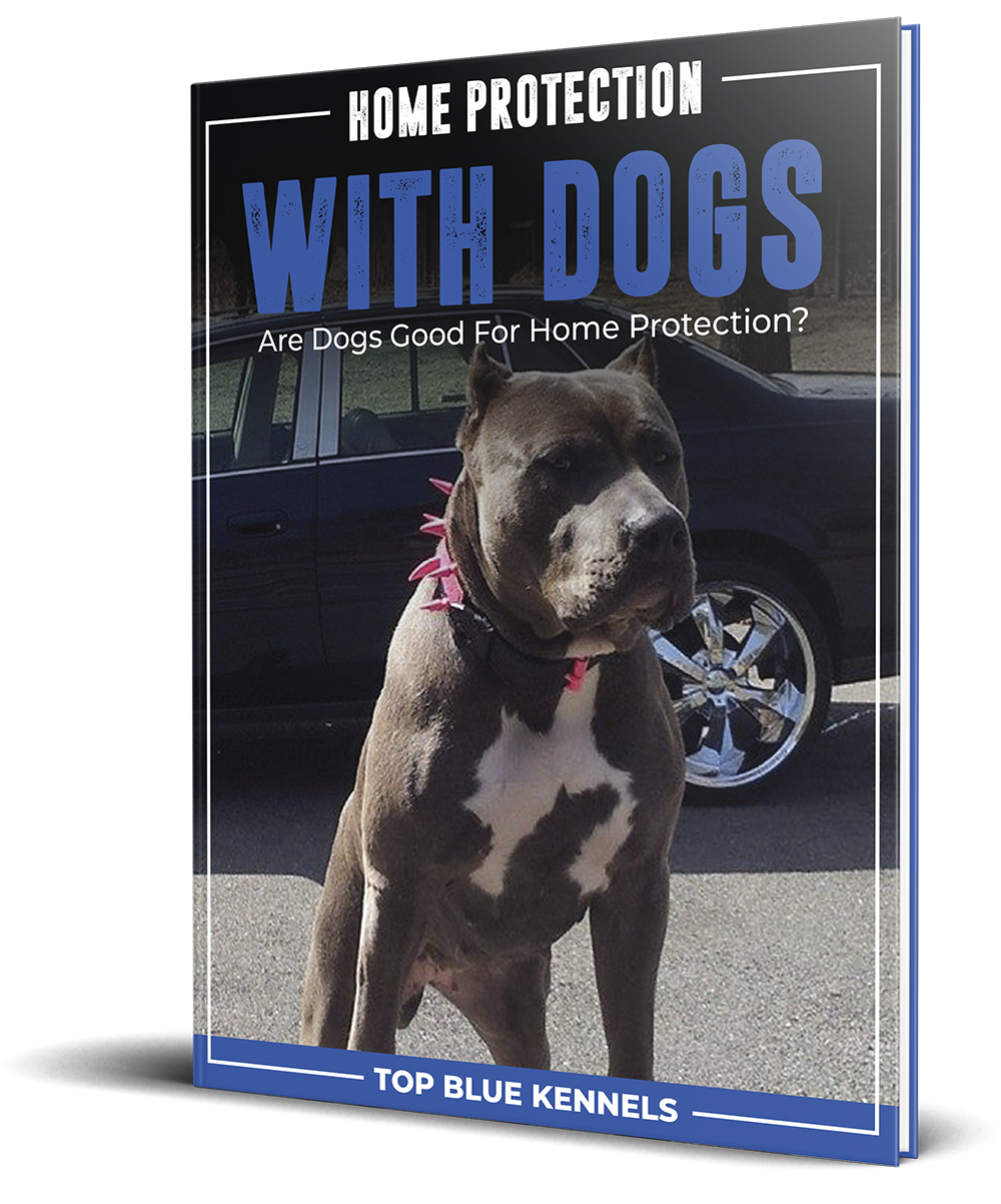 Home Protection With Dogs