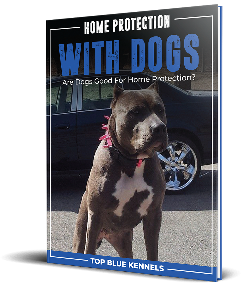 Home Protection With Dogs