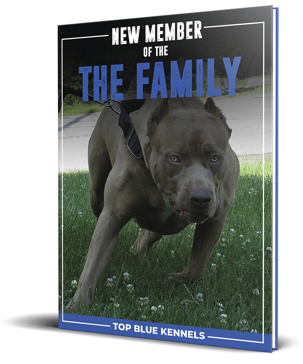 New Member of The Family