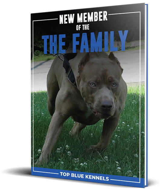 New Member of The Family