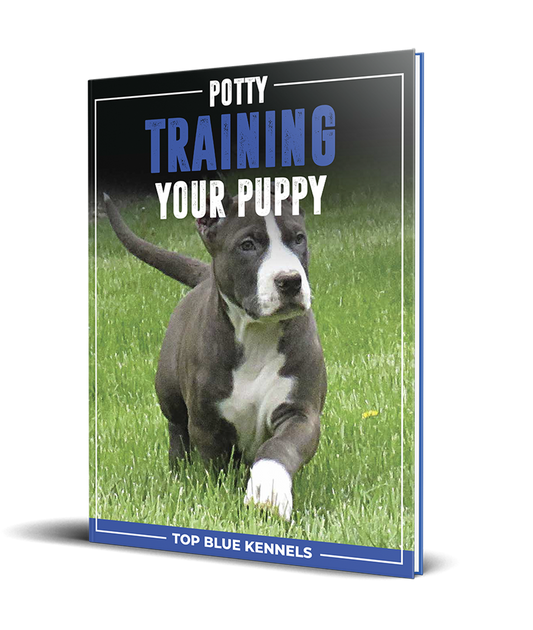 Potty Training Your Puppy