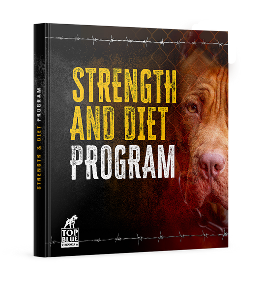 Pitbull Strength Training and Diet Program