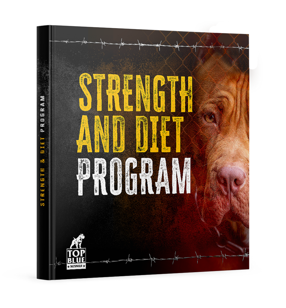 Strength and Diet Program